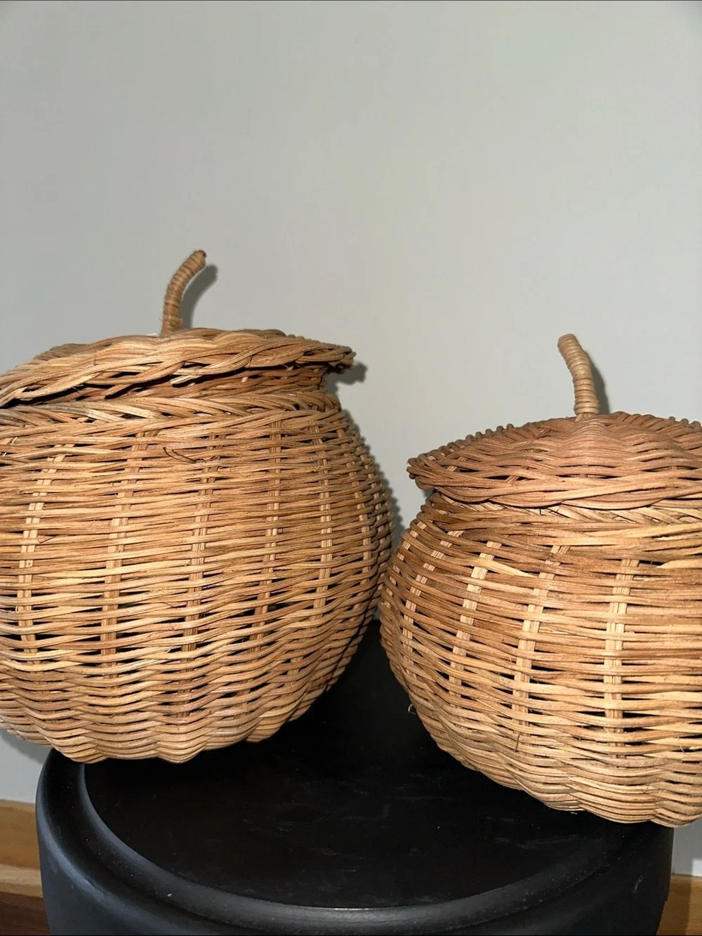 Woven Rattan Lidded pumpkin Basket set - Natural Brown TikTok viral